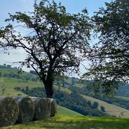 Merlin Malga San Giorgio 6